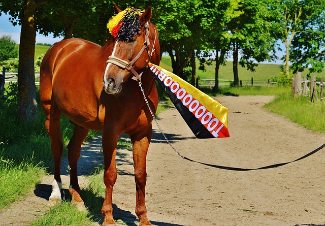 加纳国脚弗朗西斯已经在日本接受手术，之后将返回法国康复