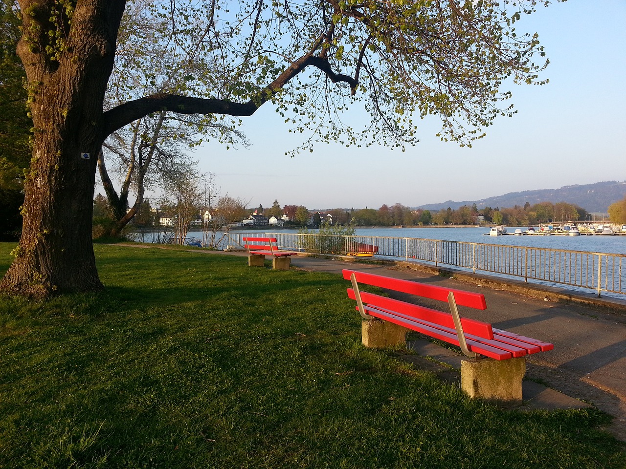 德天空：曼联对阿德耶米感兴趣，红魔首席球探非常了解球员