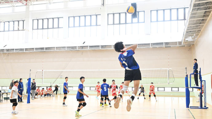 格罗索：停止与2006年国家队比较，年轻球员要重建意大利足球